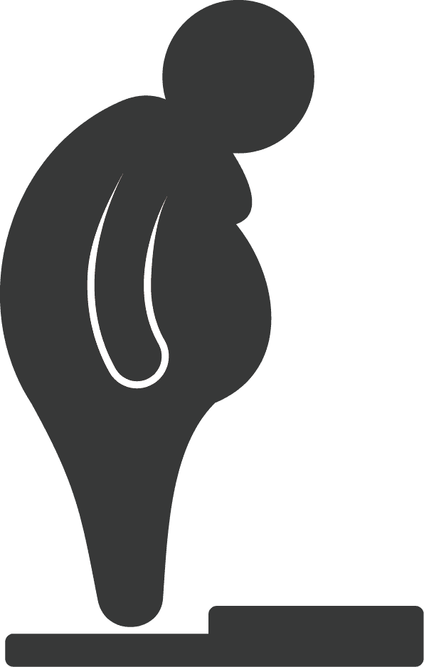 비만 건강 위험